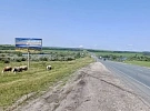 Вклад билбордов в развитие внутреннего туризма. Пример Хвалынска.